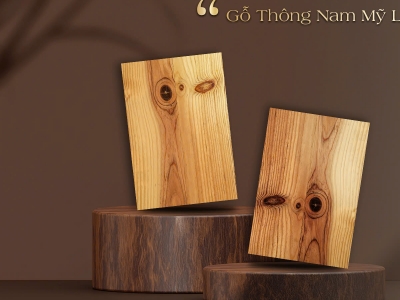 Gỗ Thông Nam Mỹ nhập khẩu – Chất liệu vàng trong chế tác sofa cao cấp tại NEO